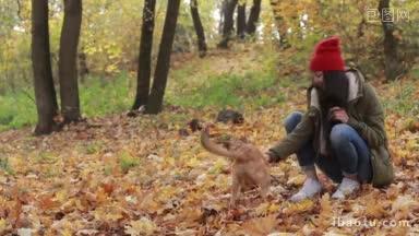 欢快可爱的狗与女主人在公园的黄色树叶玩积极的<strong>潮女</strong>孩与忠诚的朋友狗
